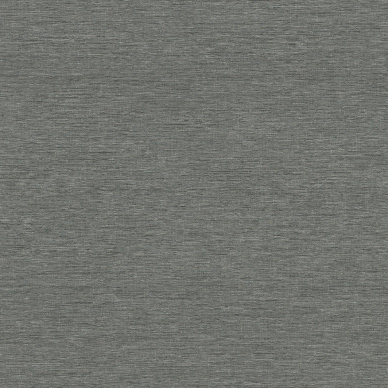 Wallpaper Altitude Wallpaper Sample // Dark Grey 8 x 10 