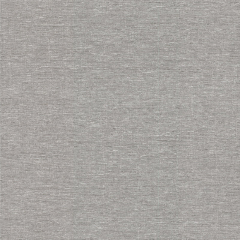 Wallpaper Altitude Wallpaper Sample // Light Grey 8 x 10 