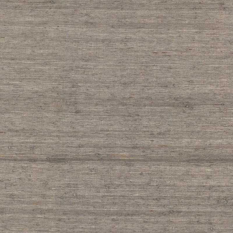 Wallpaper Arrowroot Wallpaper Sample // Brown 8 x 10 