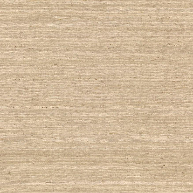 Wallpaper Arrowroot Wallpaper Sample // Cream 8 x 10 