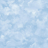 Wallpaper Atrium Clouds Peel & Stick Wallpaper // Blue 