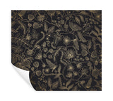 Wallpaper Aviary Peel & Stick Wallpaper // Black & Gold 