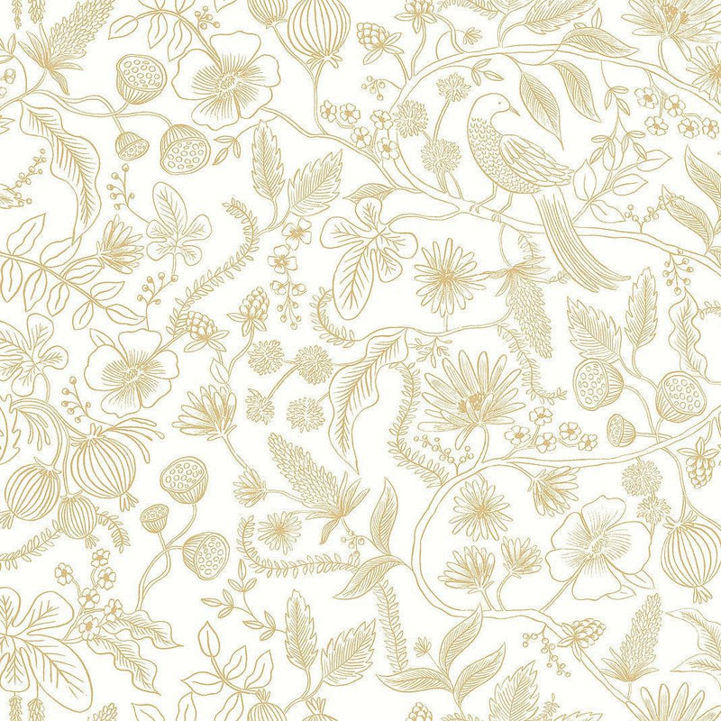 Wallpaper Aviary Peel & Stick Wallpaper // Off White & Gold 