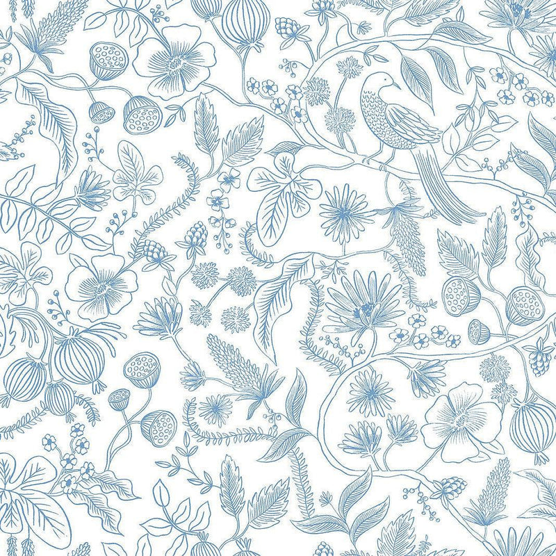 Wallpaper Aviary Peel & Stick Wallpaper Sample // Blue & Cream 8 x 10 