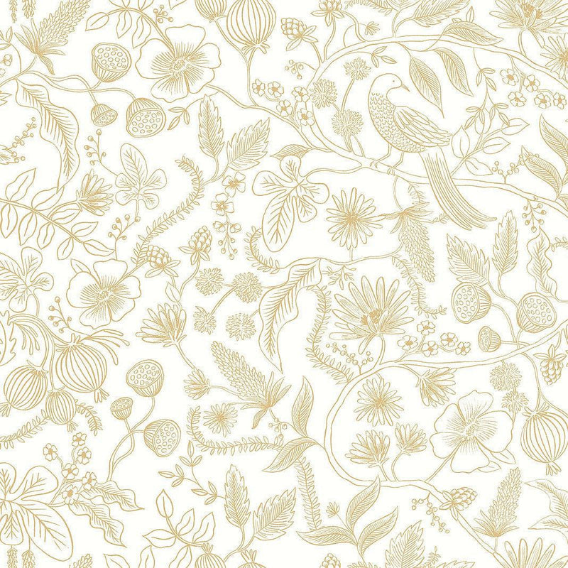 Wallpaper Aviary Peel & Stick Wallpaper Sample // Off White & Gold 8 x 10 