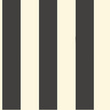 Wallpaper Awning Stripe Wallpaper // Black & White 