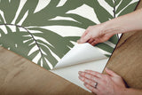 Wallpaper Bali Leaves Peel & Stick Wallpaper // Green 