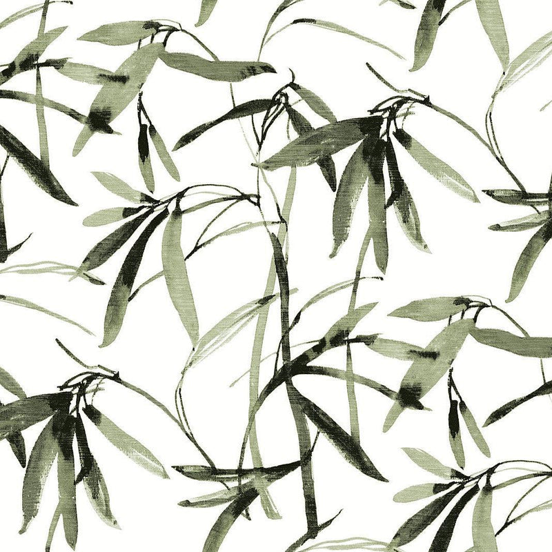 Wallpaper Bamboo Ink Wallpaper Sample // Green & Black 8 x 10 