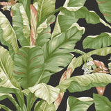Wallpaper Banana Leaf Peel & Stick Wallpaper // Black & Green 