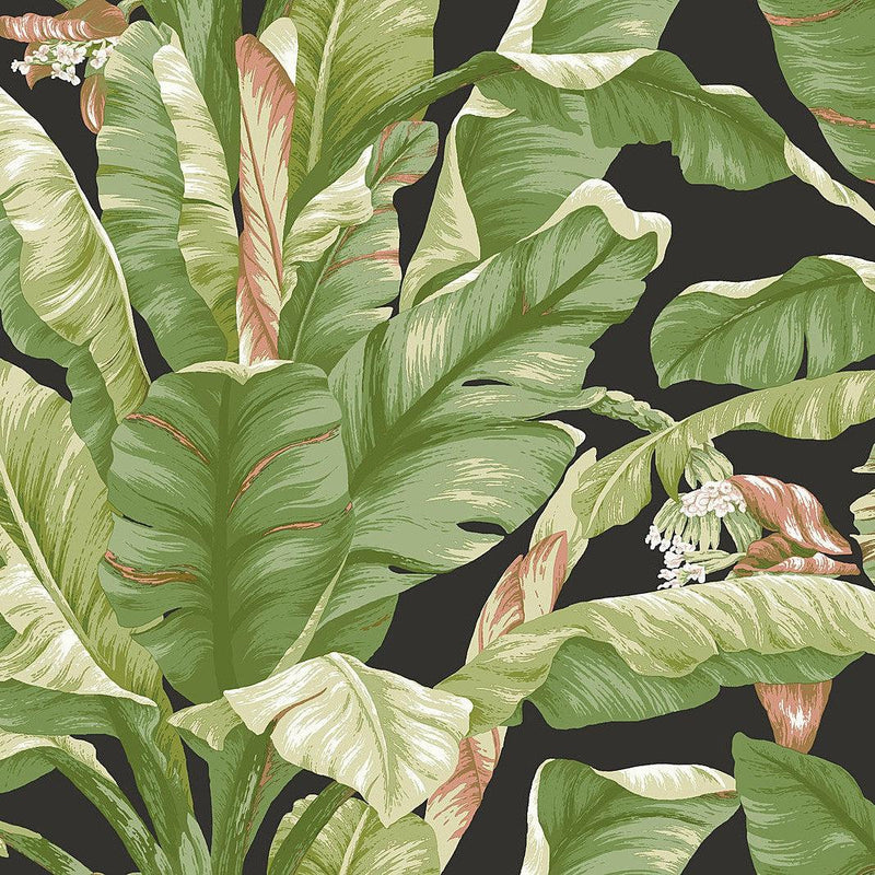 Wallpaper Banana Leaf Peel & Stick Wallpaper Sample // Black & Green 8 x 10 