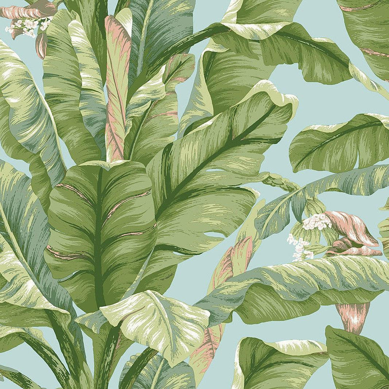 Wallpaper Banana Leaf Peel & Stick Wallpaper Sample // Blue & Green 8 x 10 