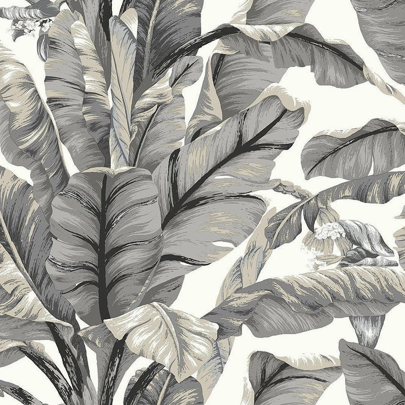 Wallpaper Banana Leaf Peel & Stick Wallpaper Sample // White & Black 8 x 10 