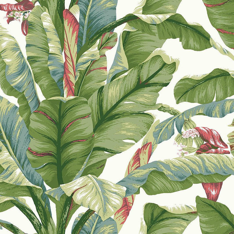 Wallpaper Banana Leaf Peel & Stick Wallpaper Sample // White & Green 8 x 10 