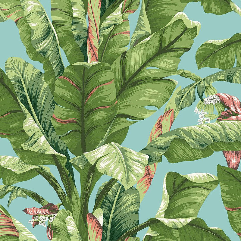 Wallpaper Banana Leaf Wallpaper // Aqua & White 