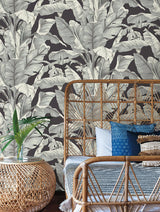 Wallpaper Banana Leaf Wallpaper // Black & White 