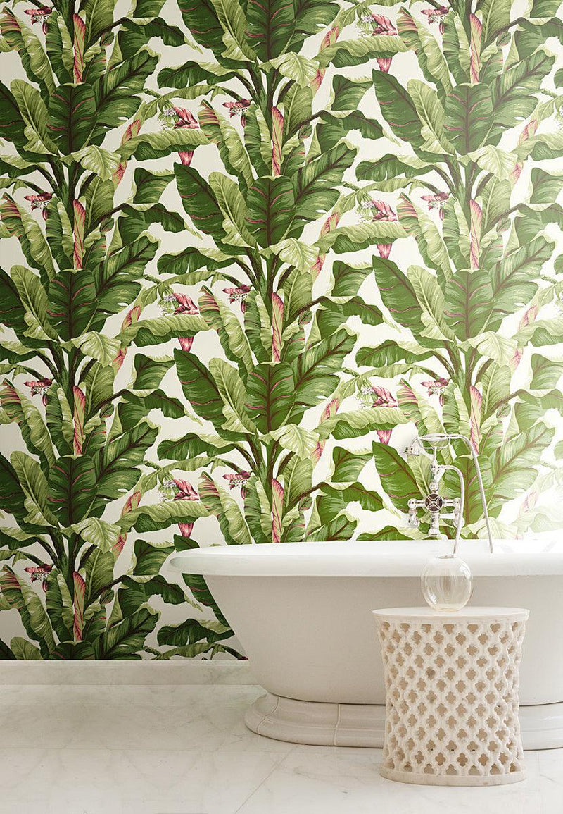 Wallpaper Banana Leaf Wallpaper // Dark Brown & Pink 
