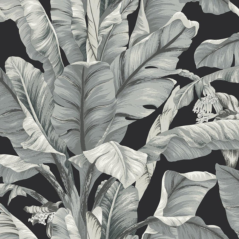Wallpaper Banana Leaf Wallpaper Sample // Black & White 8 x 10 
