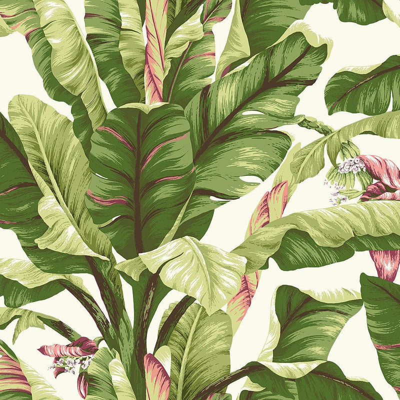 Wallpaper Banana Leaf Wallpaper Sample // Dark Brown & Pink 8 x 10 