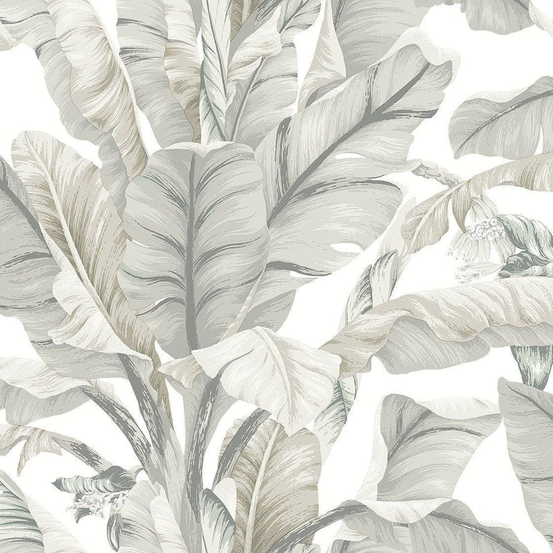 Wallpaper Banana Leaf Wallpaper Sample // White & Cream 8 x 10 