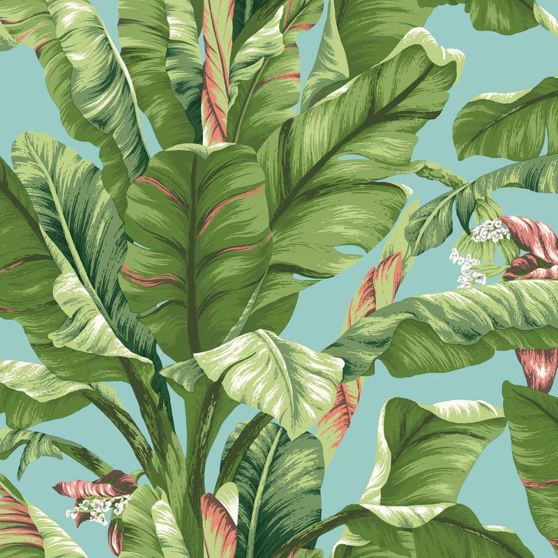 Wallpaper Banana Leaf Wallpaper Sample // White 8 x 10 