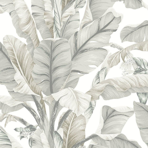 Wallpaper Banana Leaf Wallpaper // White & Cream 