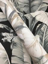 Wallpaper Banana Leaf Wallpaper // White & Cream 