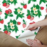 Wallpaper Berry Nice Peel & Stick Wallpaper // Berry Pink 