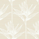 Wallpaper Bird Of Paradise Wallpaper // White 