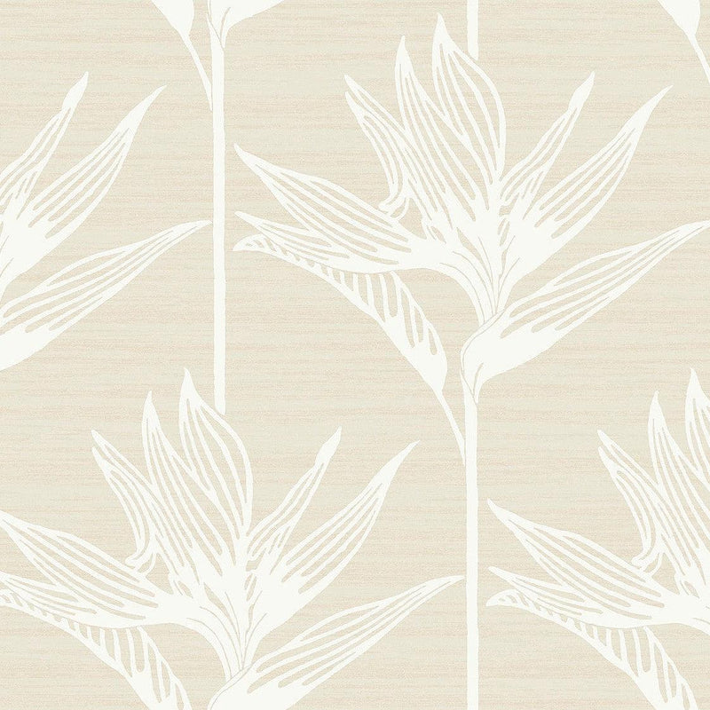 Wallpaper Bird Of Paradise Wallpaper // White 