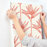 Wallpaper Bird of Paradise Wallpaper // Coral 