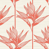 Wallpaper Bird of Paradise Wallpaper // Coral 