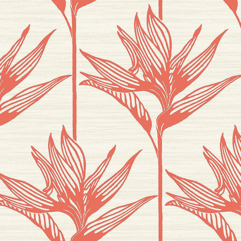 Wallpaper Bird of Paradise Wallpaper Sample // Coral 8 x 10 