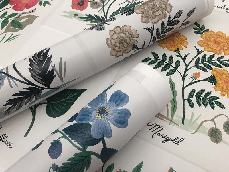 Wallpaper Botanical Prints Wallpaper // White & Blue 