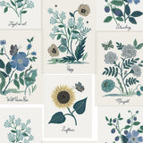 Wallpaper Botanical Prints Wallpaper // White & Blue 