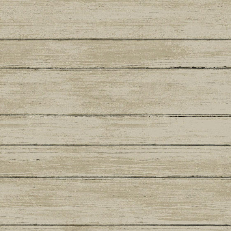 Wallpaper Broad Side Wallpaper Sample // Beige 8 x 10 