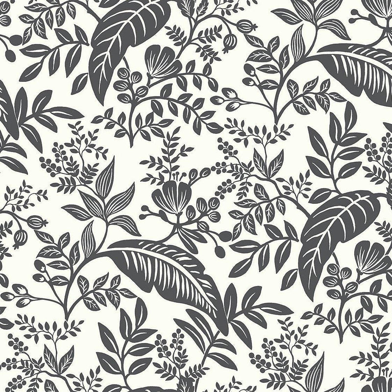 Wallpaper Canopy Wallpaper Sample // Black & White 8 x 10 