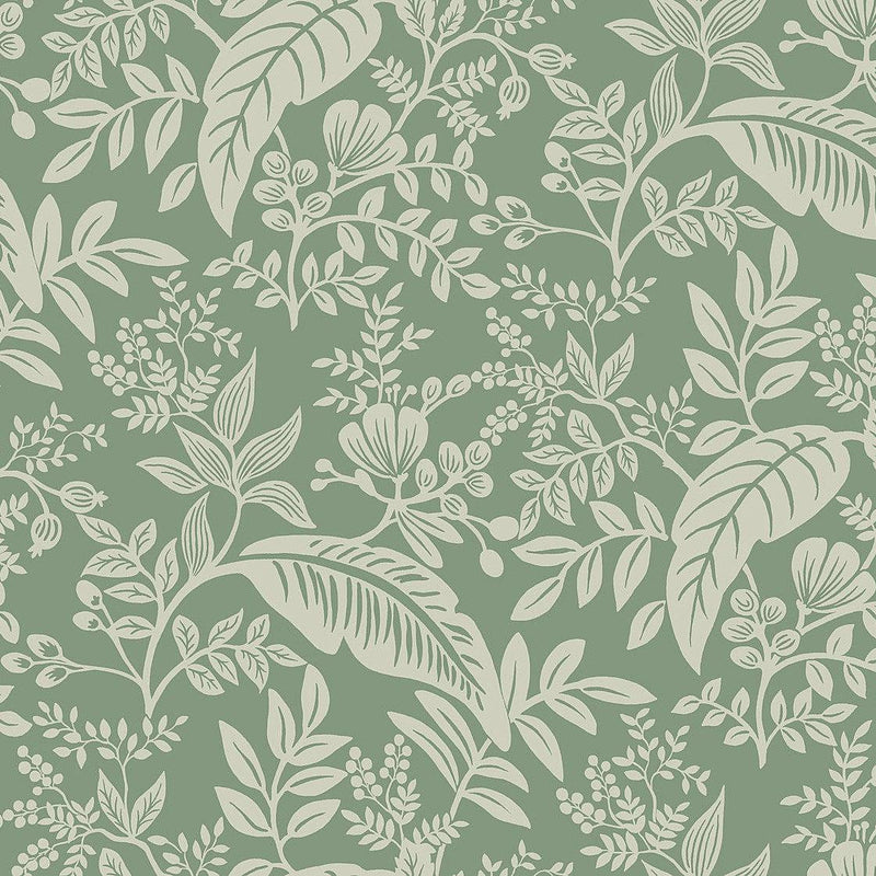 Wallpaper Canopy Wallpaper Sample // Sage 8 x 10 