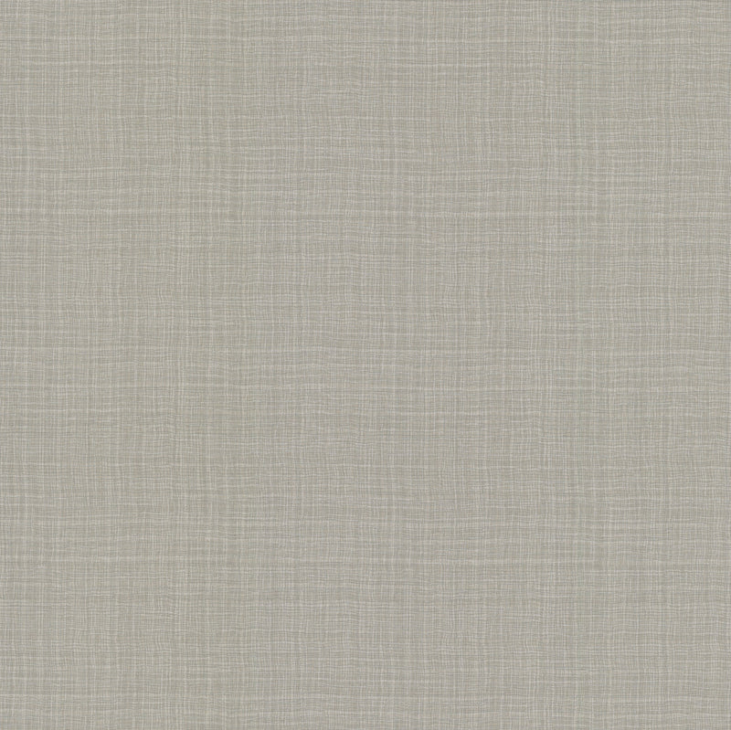 Wallpaper Caprice Wallpaper Sample // Grey & Beige 8 x 10 