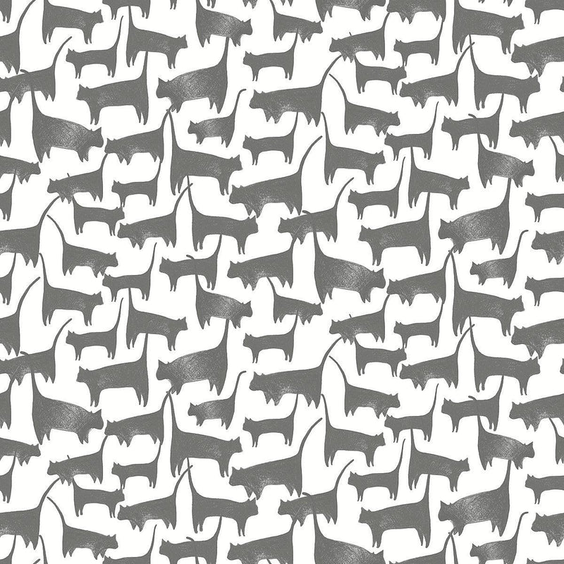 Wallpaper Cat Tails Peel & Stick Wallpaper Sample // Black 8 x 10 