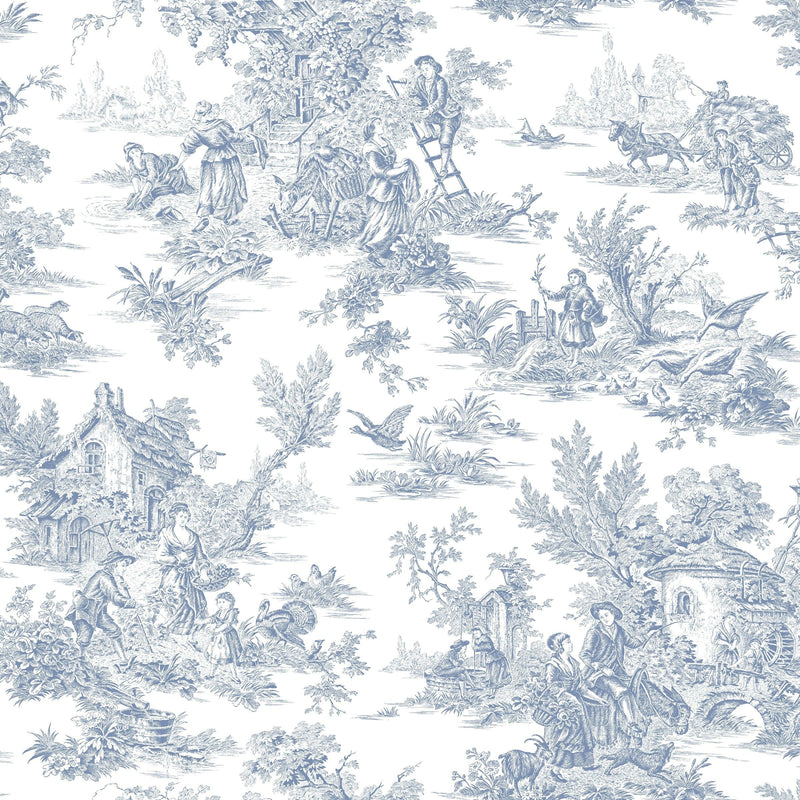 Wallpaper Champagne Toile Wallpaper Sample // Blue & White 8 x 10 