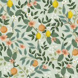 Wallpaper Citrus Grove Peel & Stick Wallpaper // Mint 