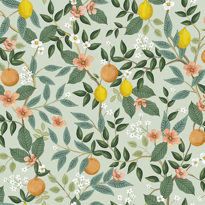 Wallpaper Citrus Grove Peel & Stick Wallpaper Sample // Mint 8 x 10 