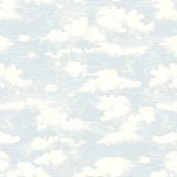 Wallpaper Cloud Cover Wallpaper // Blue 
