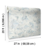 Wallpaper Coastal Map Peel & Stick Wallpaper // Blue & Grey 