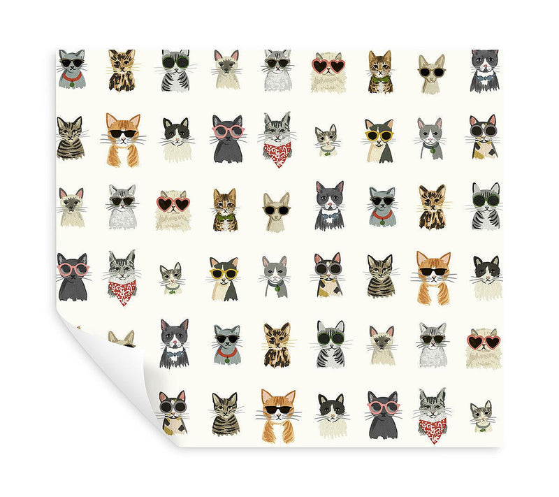 Wallpaper Cool Cats Peel & Stick Wallpaper // Multi White 