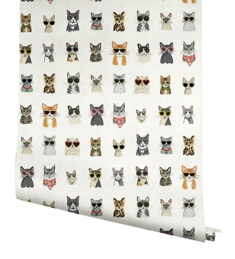 Wallpaper Cool Cats Peel & Stick Wallpaper // Multi White 