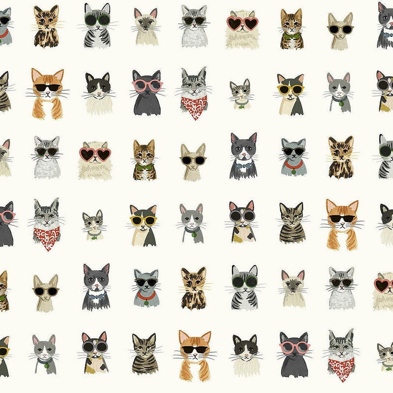 Wallpaper Cool Cats Peel & Stick Wallpaper Sample // Multi White 8 x 10 