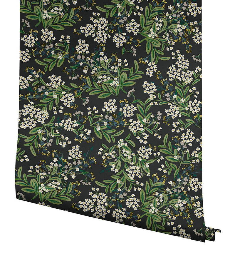 Wallpaper Cornflower Wallpaper // Black & Green 