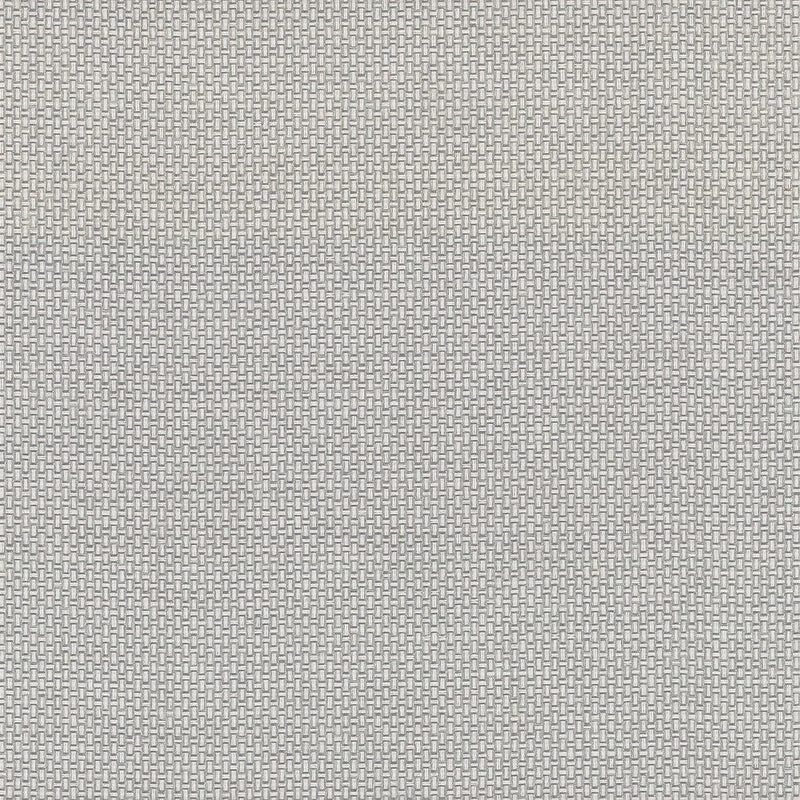 Wallpaper Cottage Basket Wallpaper Sample // Silver Metallic 8 x 10 