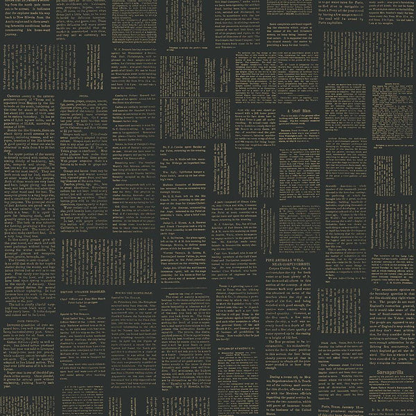 Wallpaper Crafted Editorial Wallpaper // Black & Gold Metallic 